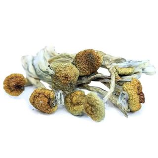 Premium Blue Meanies Online Canada